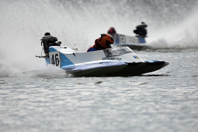 他们通过选 他们通过选