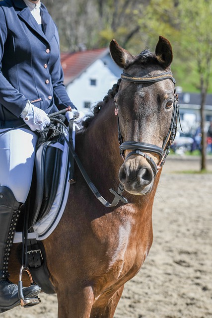 的最佳途径 的最佳途径