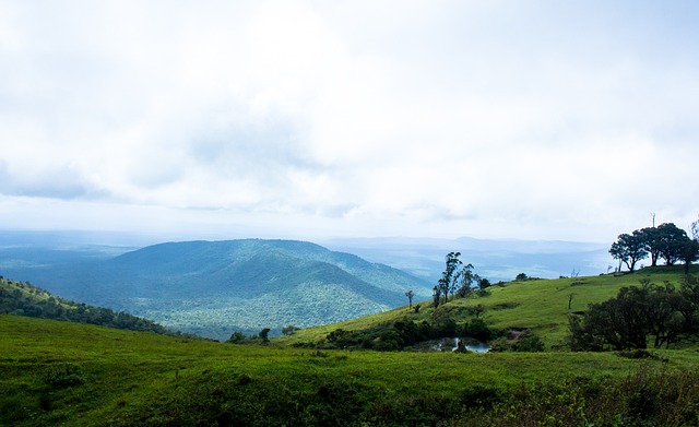 优秀的球员 优秀的球员