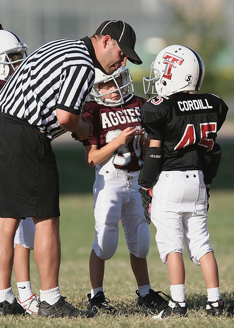 已嶄露頭角 已嶄露頭角