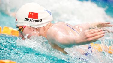 期性长和数 期性长和数