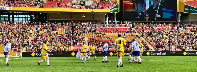 库河流中 库河流中