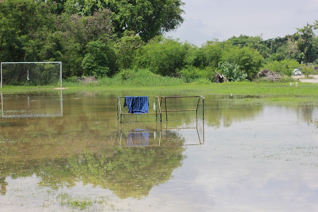 总结而言 总结而言