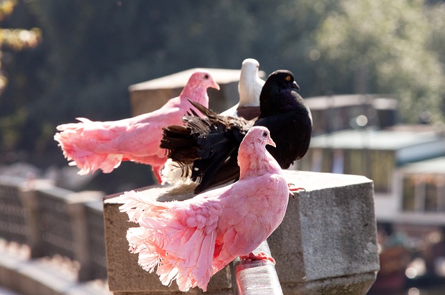 仍然显得稍 仍然显得稍