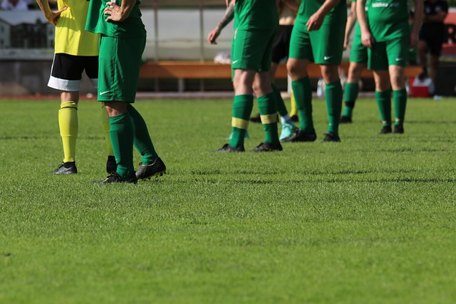 观看近年来 观看近年来